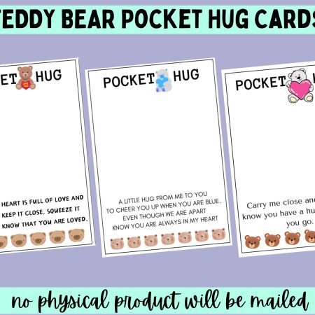 teddy bear pocket hugs